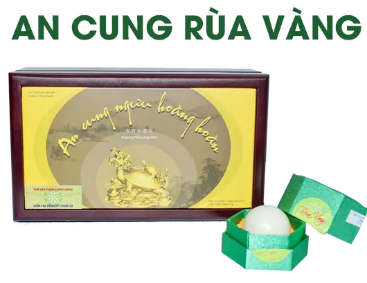 banner an cung rùa vàng